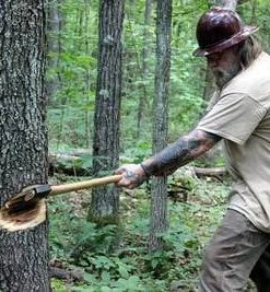Sport Hansa American Felling Axe By Dave Canterbury Survival Gear 19 Sport Hansa American Felling Axe By Dave Canterbury Survival Gear