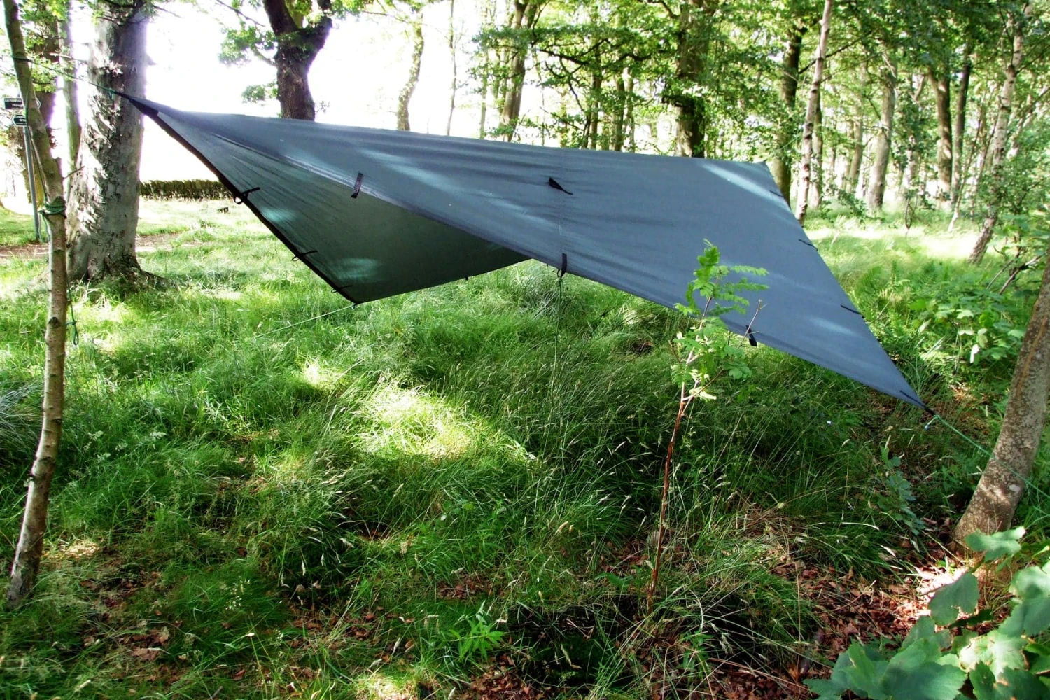 DD Hammocks DD Tarp 3x3 - Green 4 DD Hammocks DD Tarp 3x3 - Green