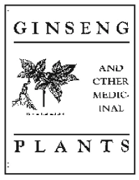 A.R. Harding Publishing Company Books GINSENG And Other Medical Plants