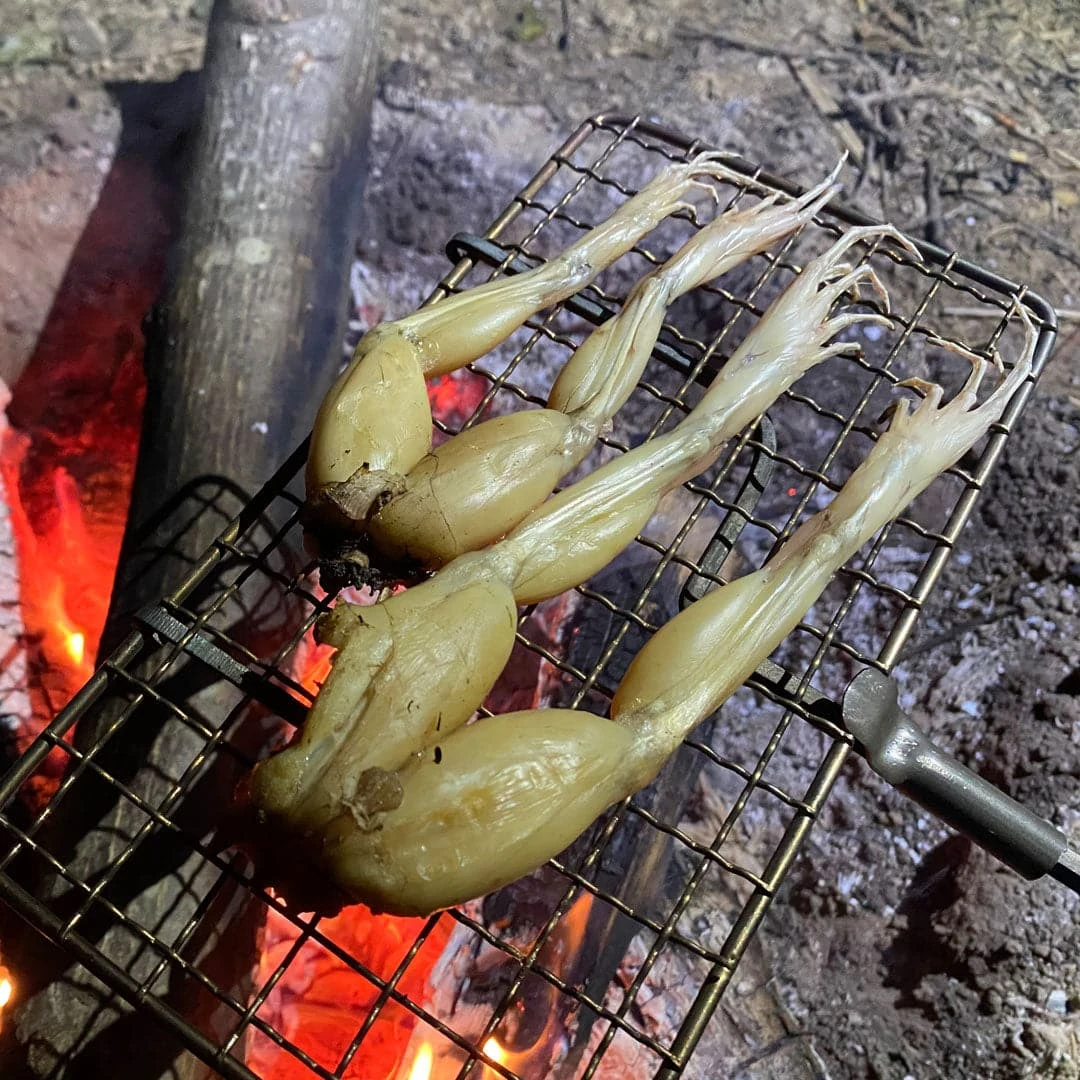 Grim Workshop Surf & Turf Spear Survival Card 7 Grim Workshop Surf & Turf Spear Survival Card