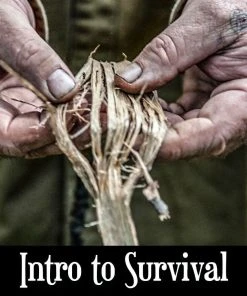 PFS Classes Intro To Survival Survival Training