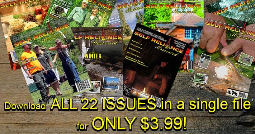 SRI 22 Issues Of Self Reliance Illustrated On PDF Books 4 SRI 22 Issues Of Self Reliance Illustrated On PDF Books