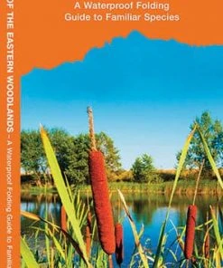 Waterford Press Inc. Survival Gear Pathfinder - Edible Plants Of The Eastern Woodlands