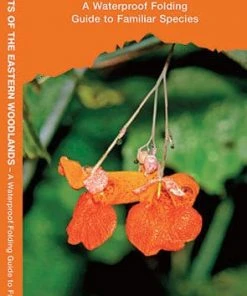 Waterford Press Inc. Pathfinder - Medicinal Plants Of The Eastern Woodlands